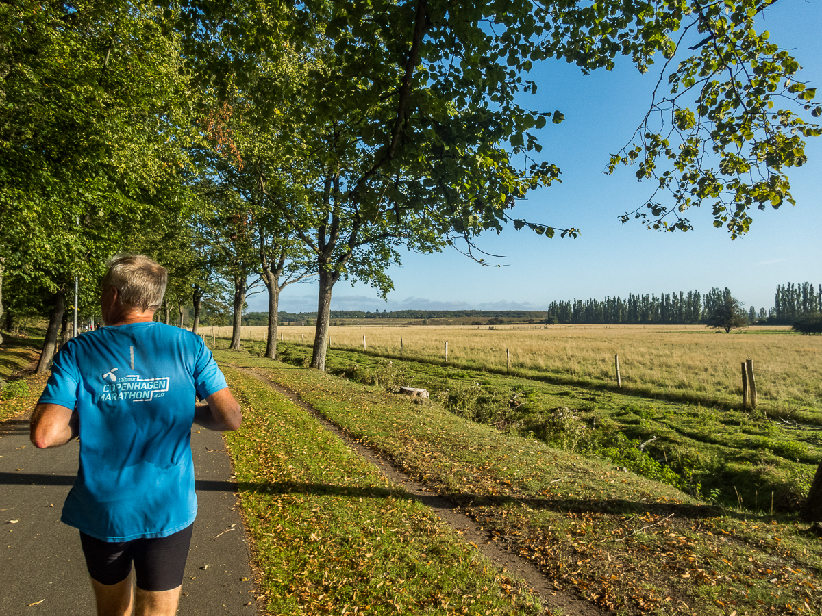 VESTVOLDSMARATHON 24-august-2019 - Tor Rnnow