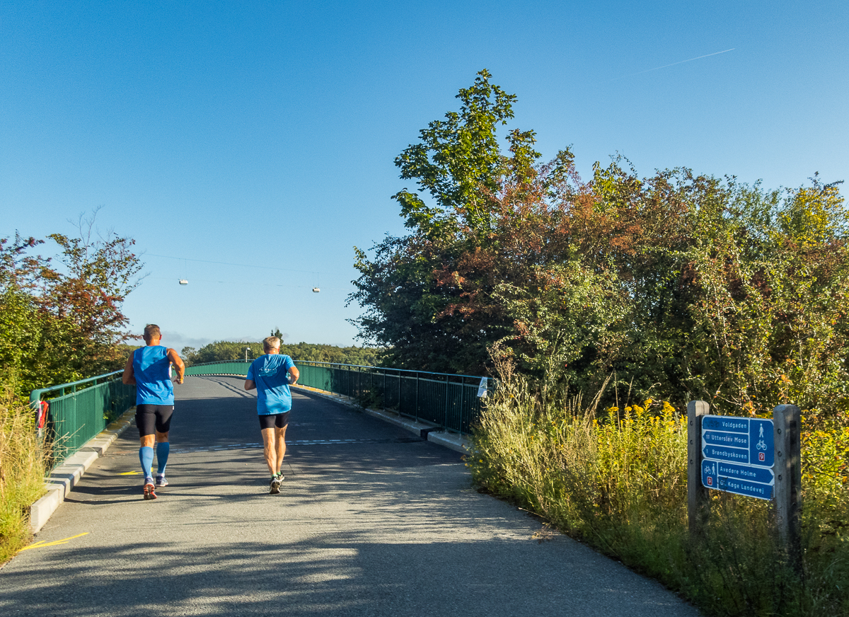 VESTVOLDSMARATHON 24-august-2019 - Tor Rnnow