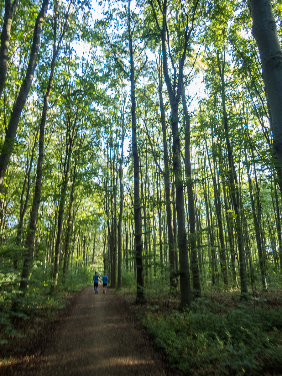 VESTVOLDSMARATHON 24-august-2019 - Tor Rnnow