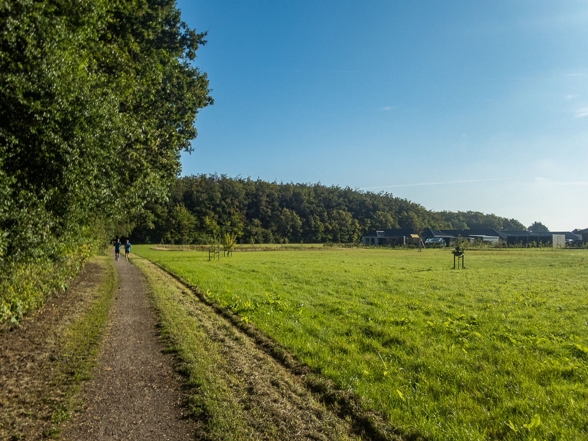 VESTVOLDSMARATHON 24-august-2019 - Tor Rnnow