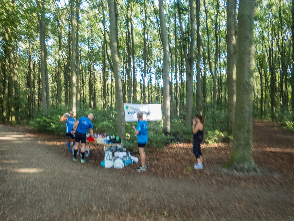 VESTVOLDSMARATHON 24-august-2019 - Tor Rnnow