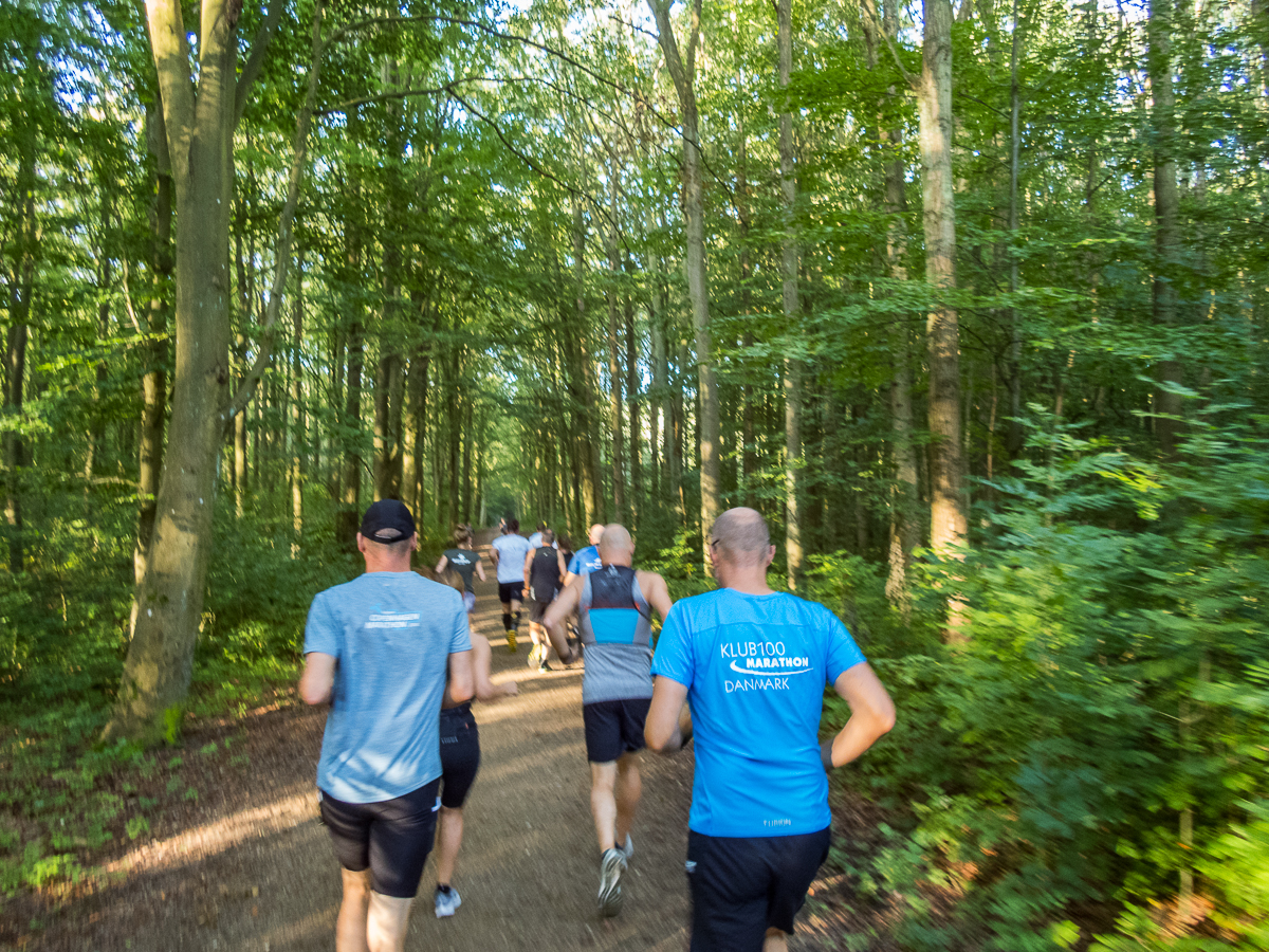 VESTVOLDSMARATHON 24-august-2019 - Tor Rnnow