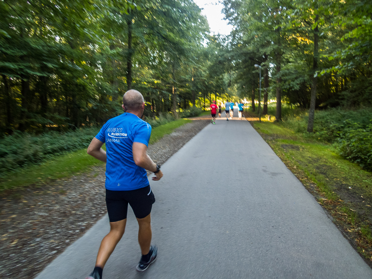 VESTVOLDSMARATHON 24-august-2019 - Tor Rnnow