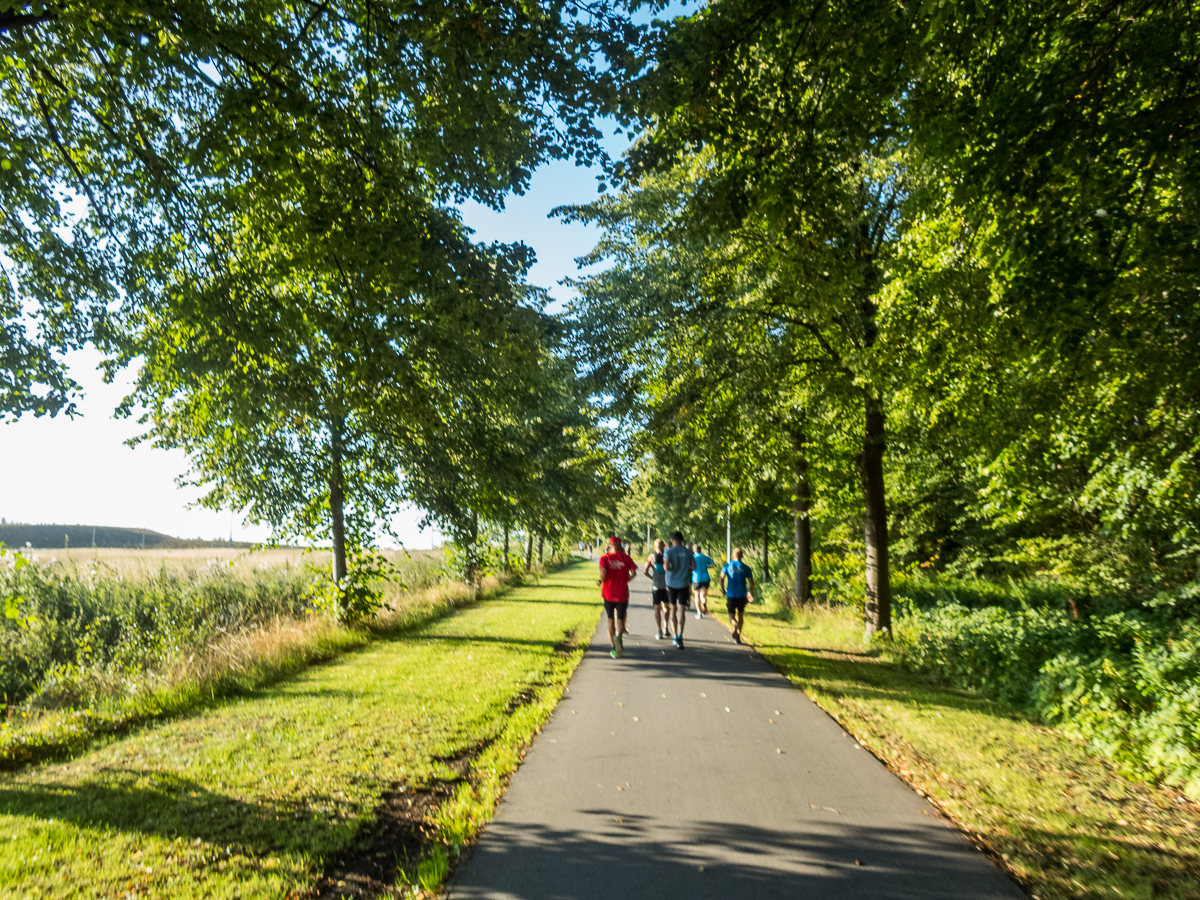 VESTVOLDSMARATHON 24-august-2019 - Tor Rnnow