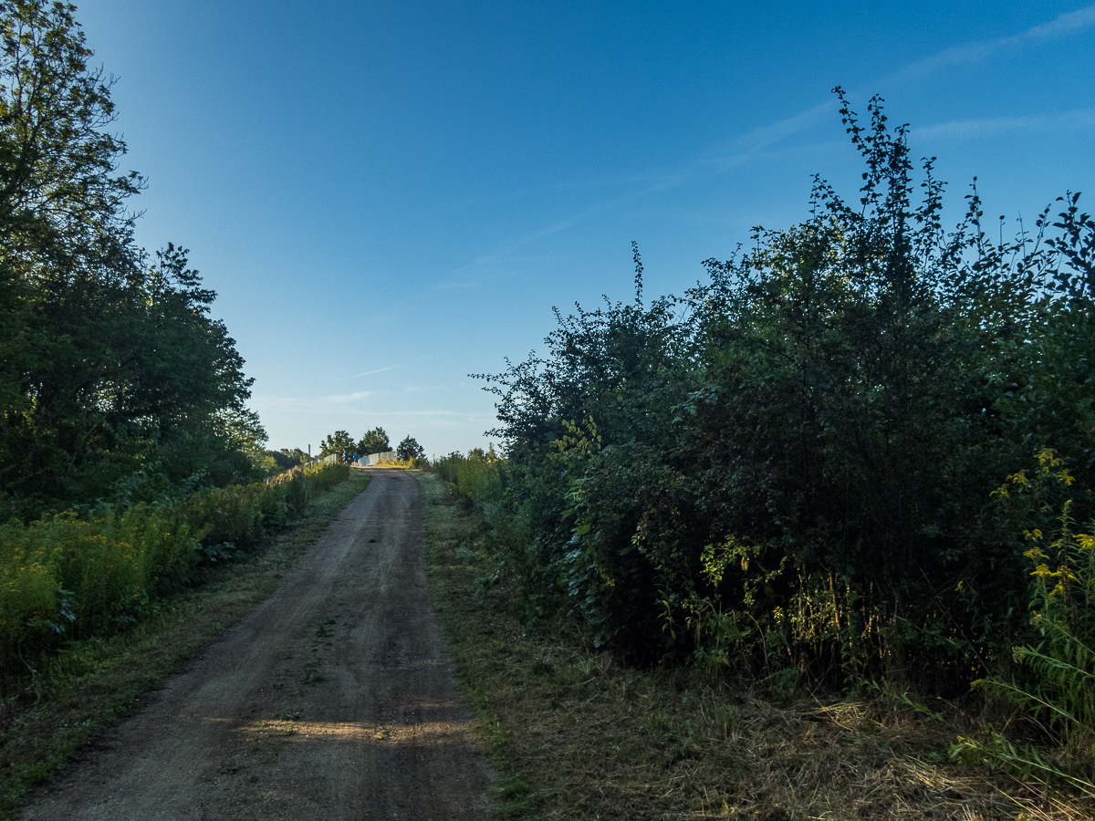 VESTVOLDSMARATHON 24-august-2019 - Tor Rnnow