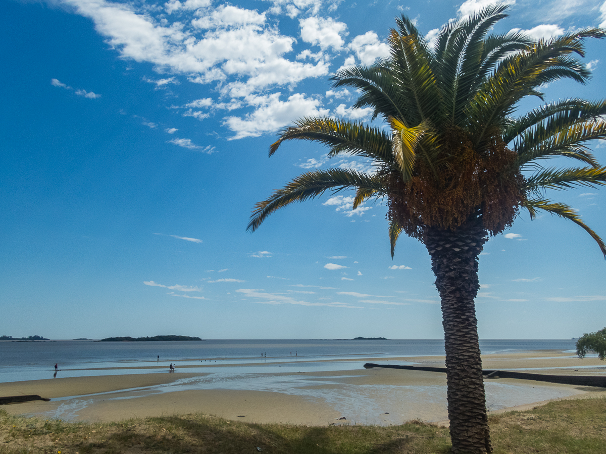 Colonia Coast Marathon 2020 - Tor Rnnow