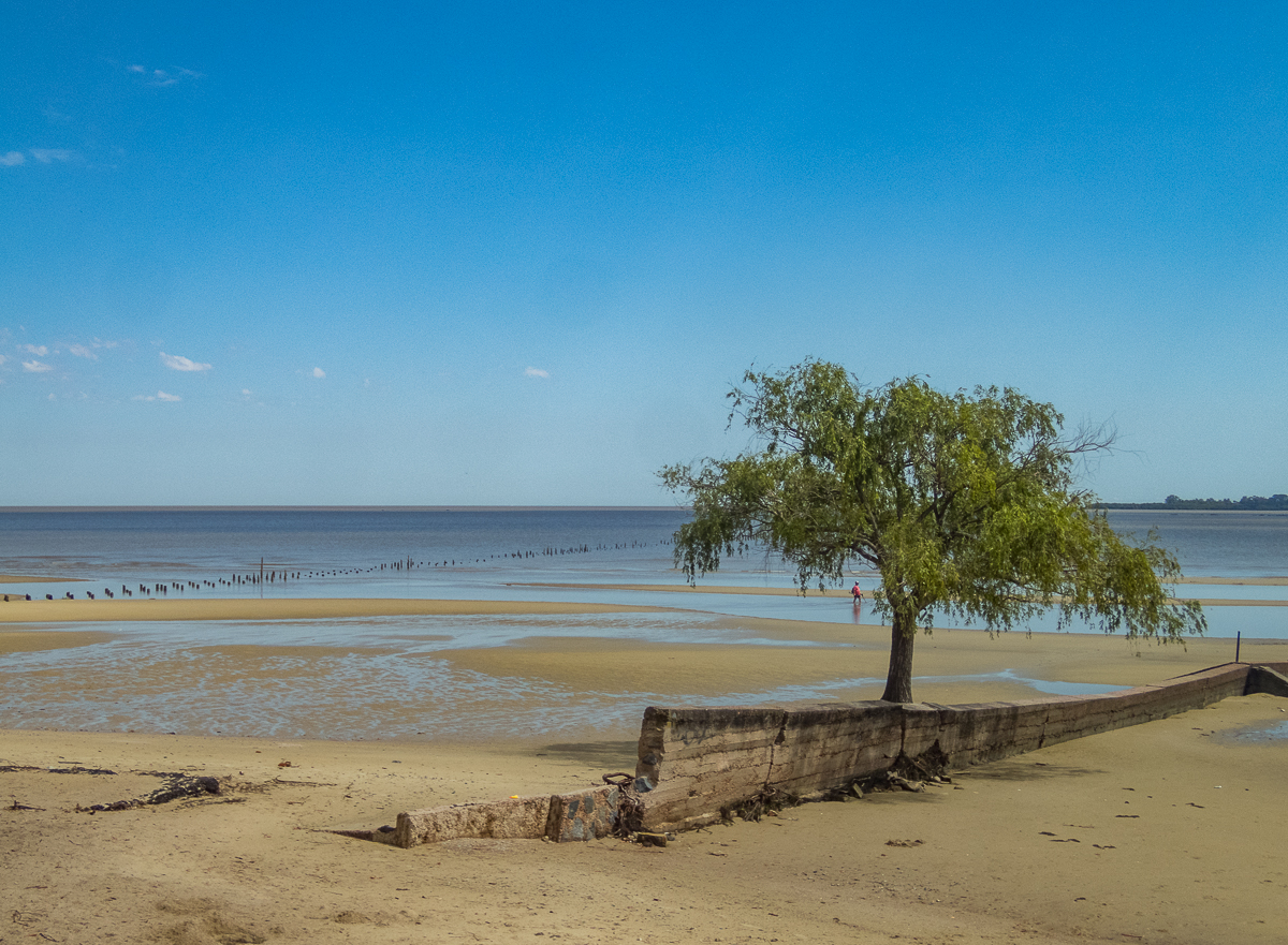 Colonia Coast Marathon 2020 - Tor Rnnow