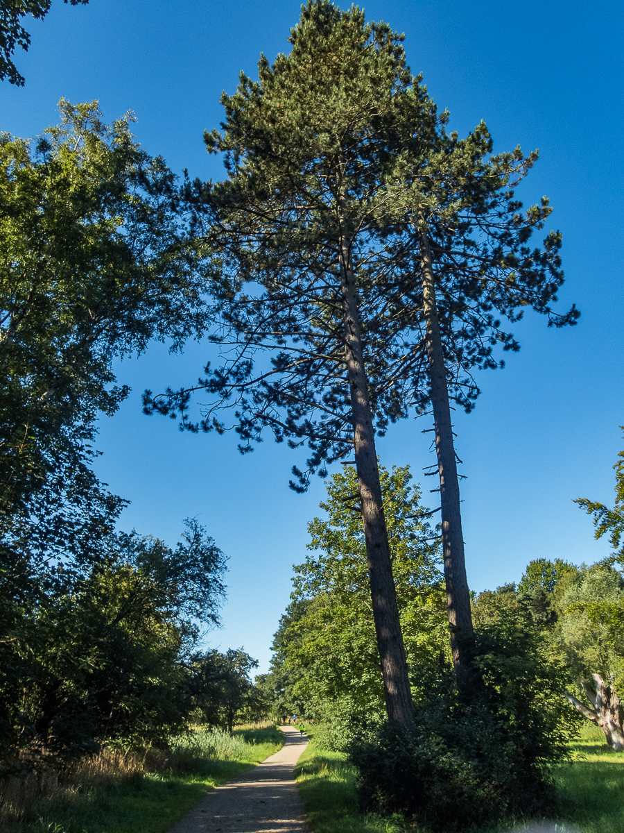 Eventyrkvarteret Marathon #1 01 august 2020 - Tor Rnnow