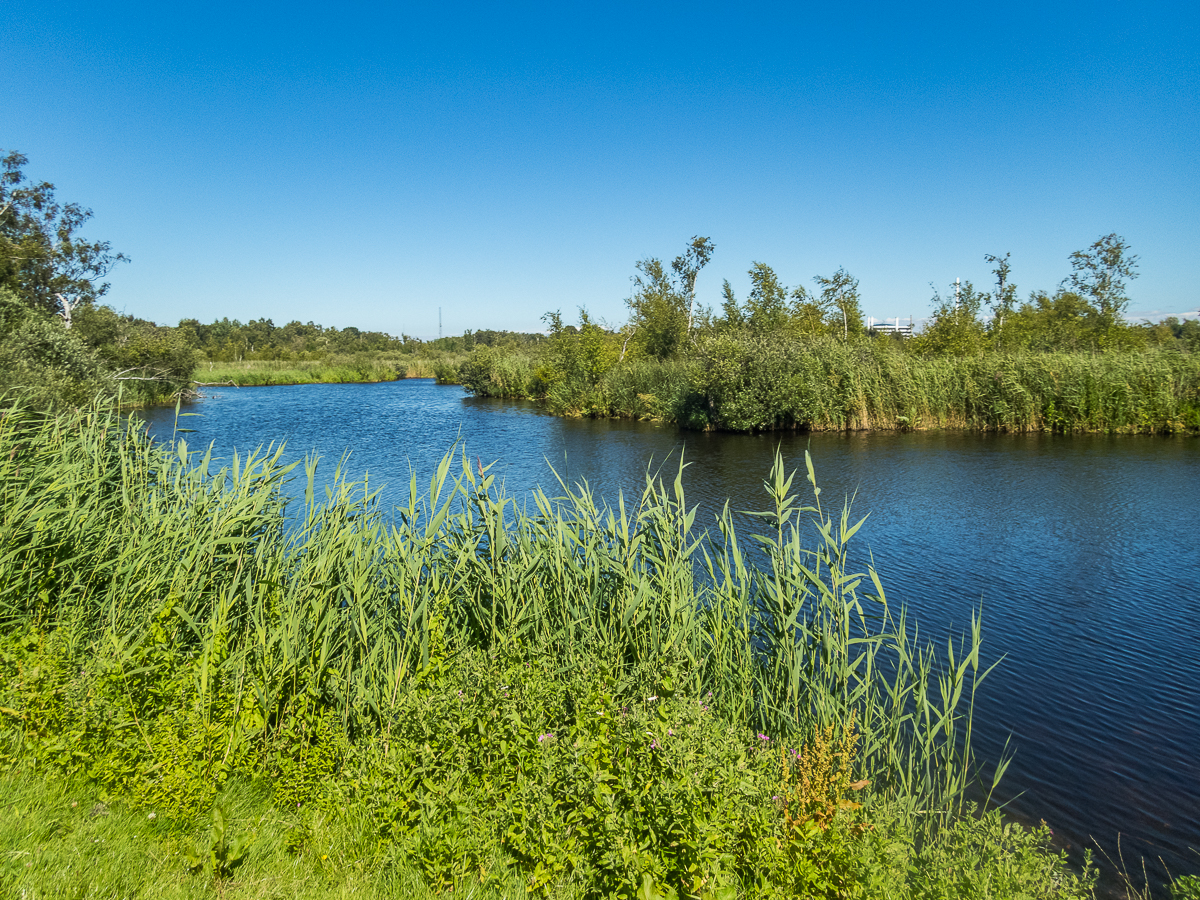 Eventyrkvarteret Marathon #1 01 august 2020 - Tor Rnnow