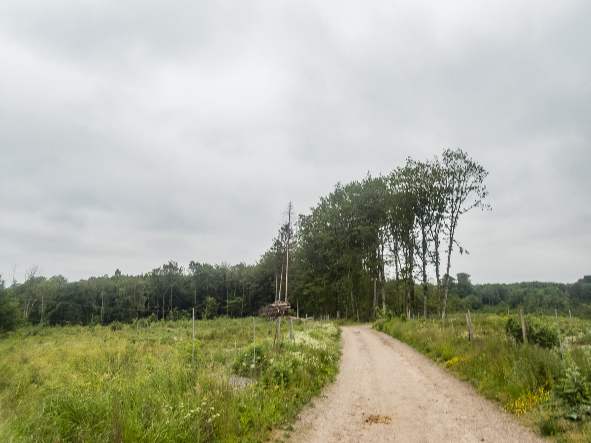 Fldeegene Marathon nr.4 - Torben Srensens nr. 100 - 2020 - Tor Rnnow