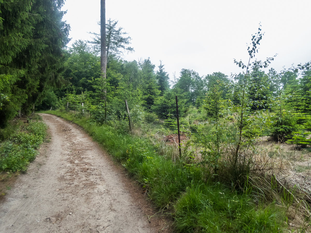 Fldeegene Marathon nr.4 - Torben Srensens nr. 100 - 2020 - Tor Rnnow