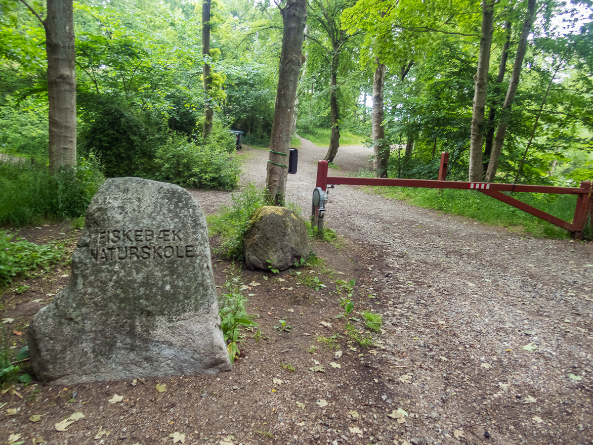 Fldeegene Marathon nr.4 - Torben Srensens nr. 100 - 2020 - Tor Rnnow