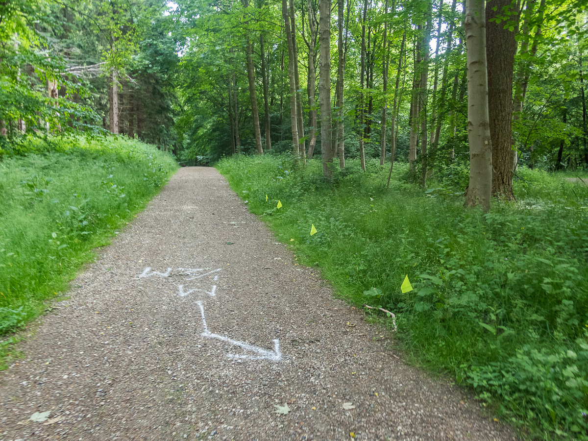 Fldeegene Marathon nr.4 - Torben Srensens nr. 100 - 2020 - Tor Rnnow