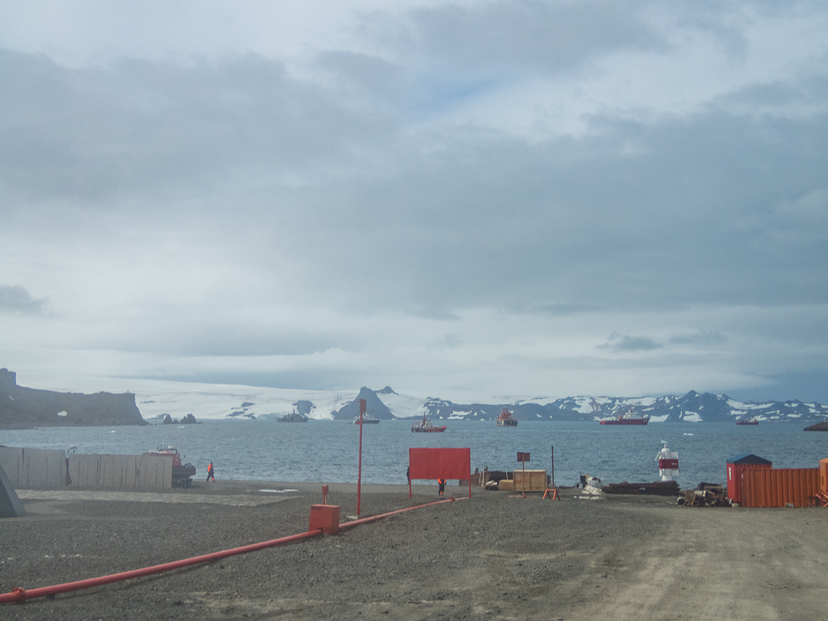 KGI Marathon 2020 - Antarctica - Tor Rnnow