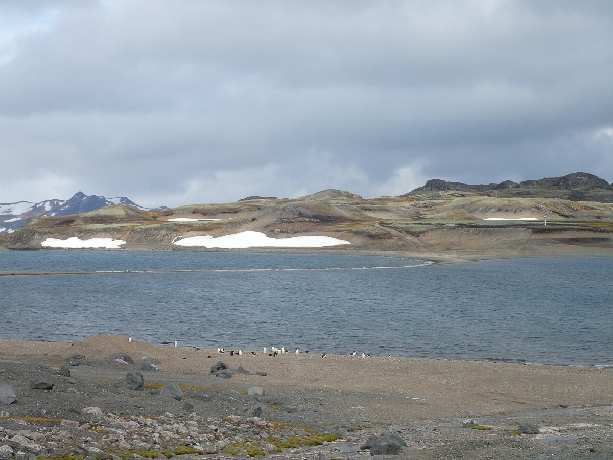 KGI Marathon 2020 - Antarctica - Tor Rnnow