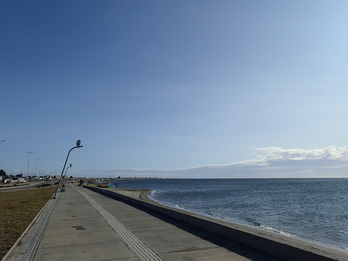 Magellan Marathon 2020 - Punta Arenas - Chile - Tor Rnnow