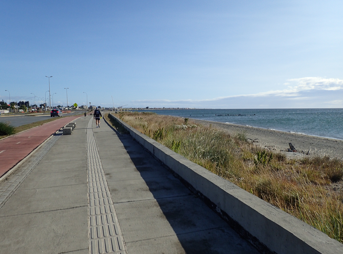 Magellan Marathon 2020 - Punta Arenas - Chile - Tor Rnnow