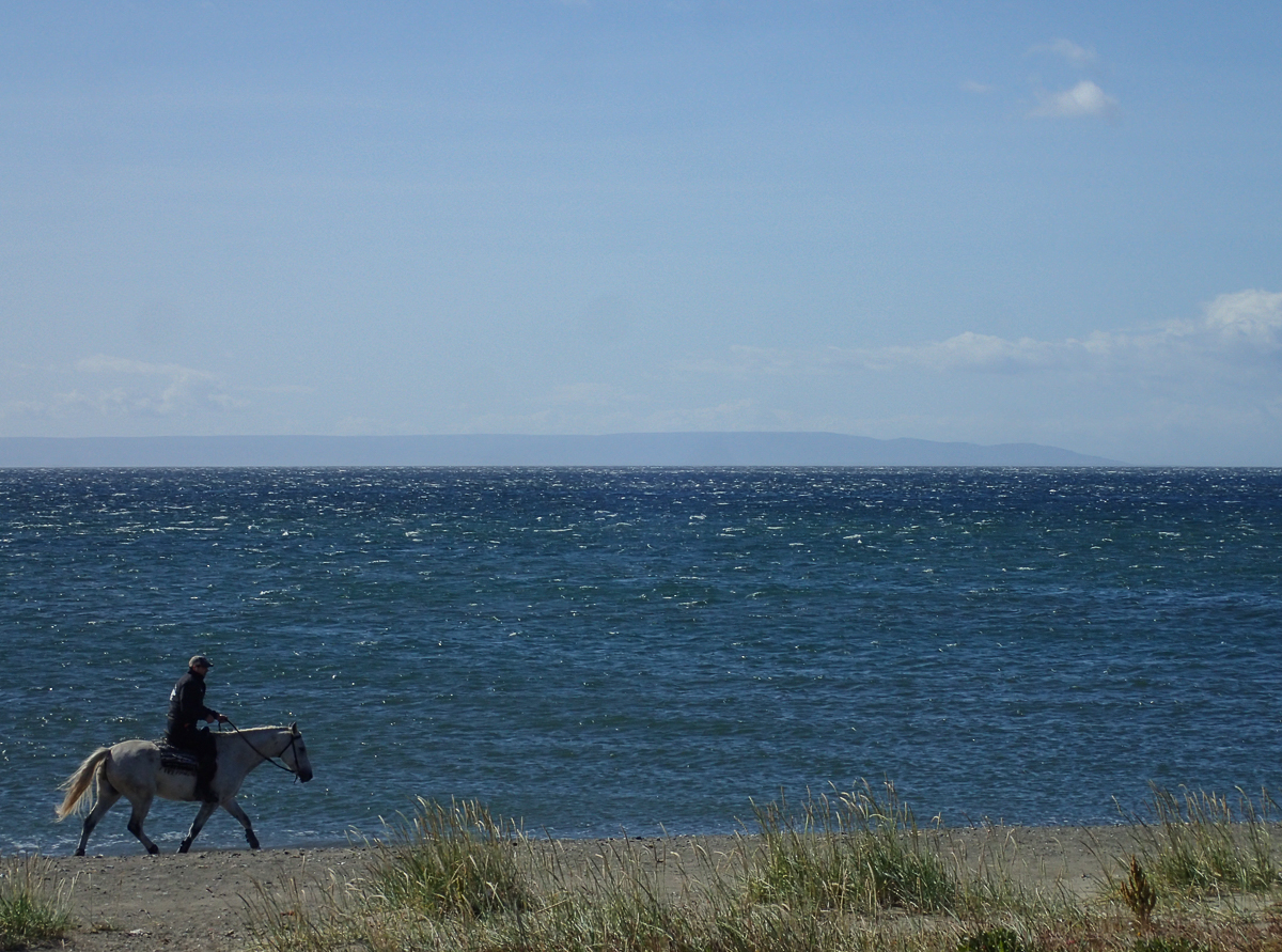 Magellan Marathon 2020 - Punta Arenas - Chile - Tor Rnnow