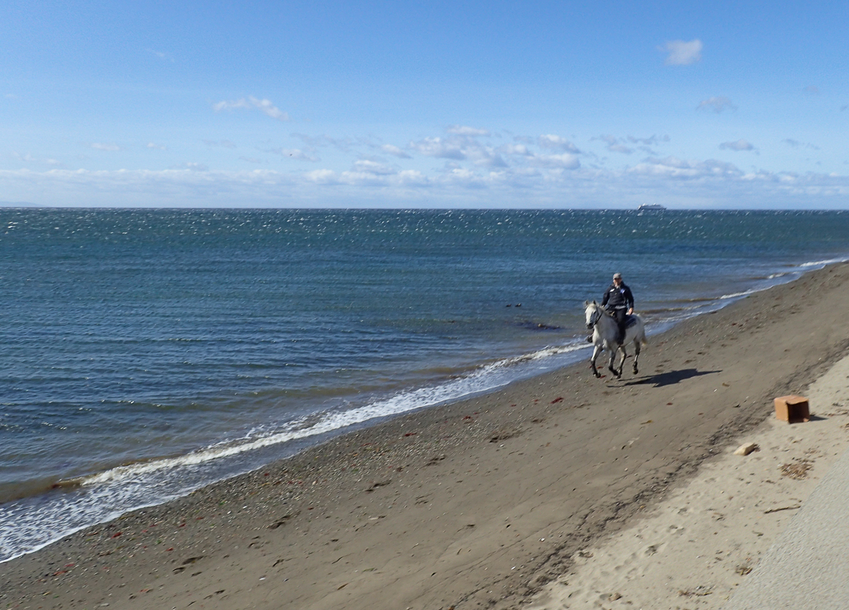 Magellan Marathon 2020 - Punta Arenas - Chile - Tor Rnnow