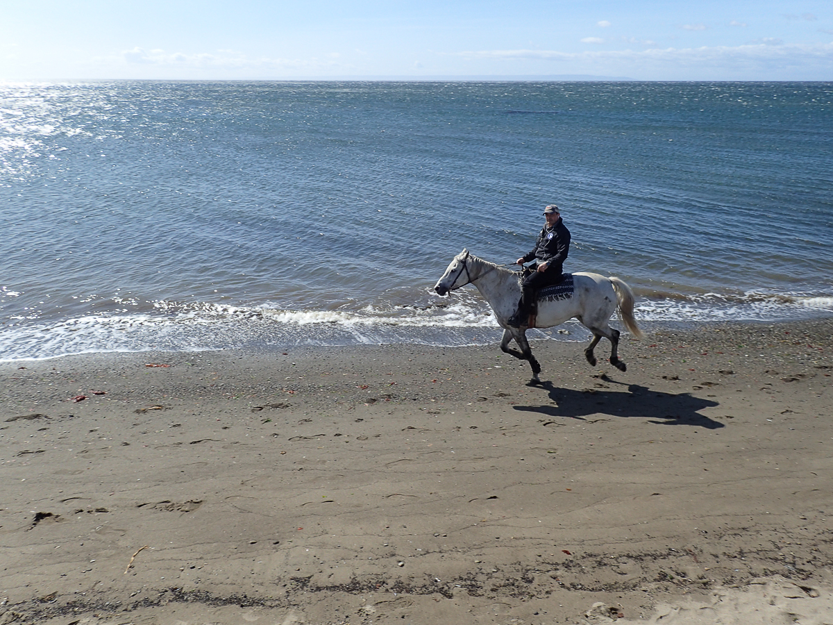 Magellan Marathon 2020 - Punta Arenas - Chile - Tor Rnnow