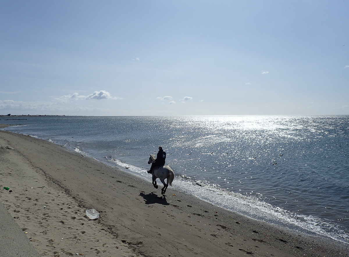 Magellan Marathon 2020 - Punta Arenas - Chile - Tor Rnnow