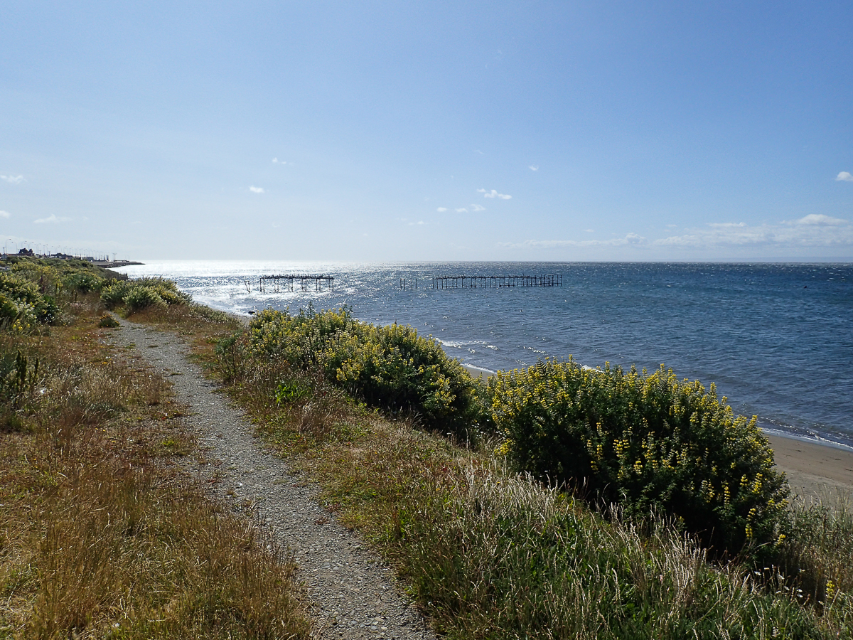 Magellan Marathon 2020 - Punta Arenas - Chile - Tor Rnnow