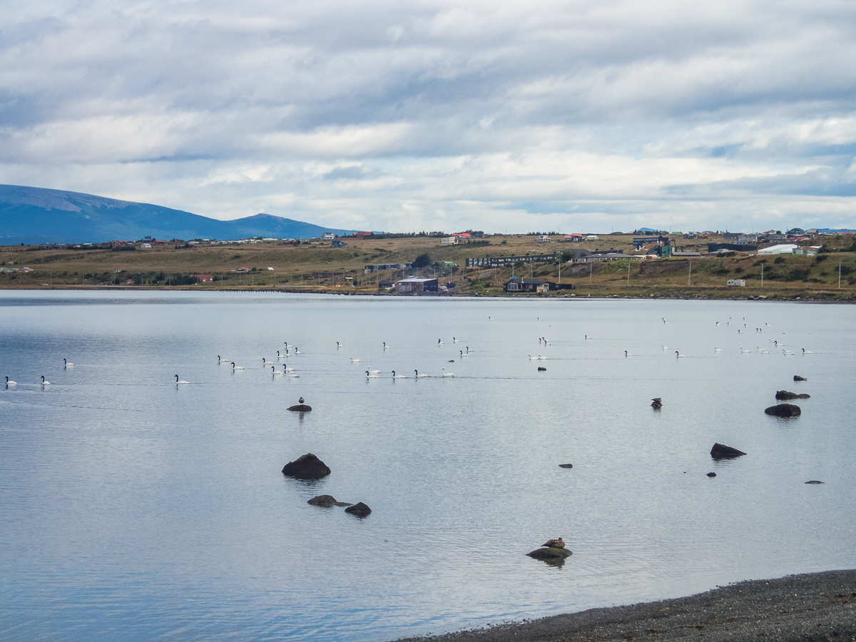 Magellan Marathon 2020 - Punta Arenas - Chile - Tor Rnnow