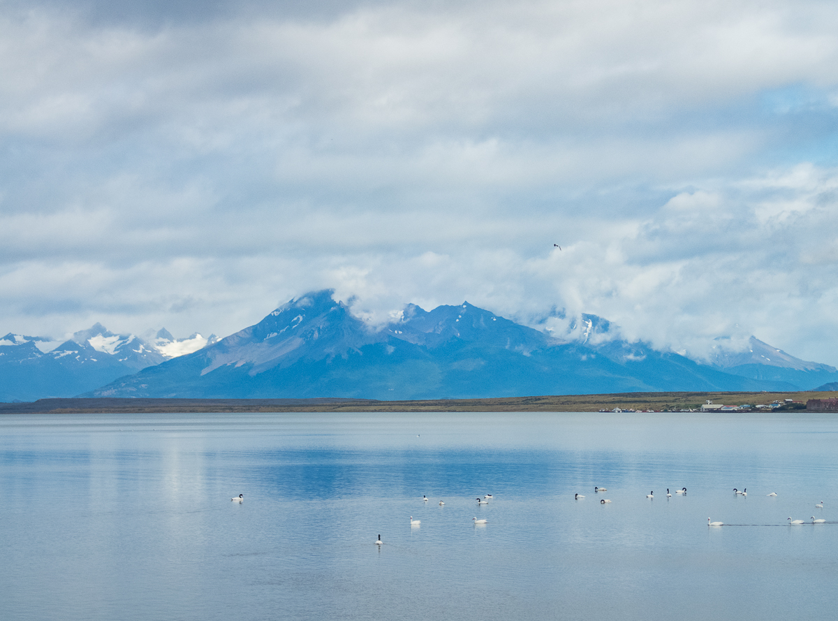 Magellan Marathon 2020 - Punta Arenas - Chile - Tor Rnnow