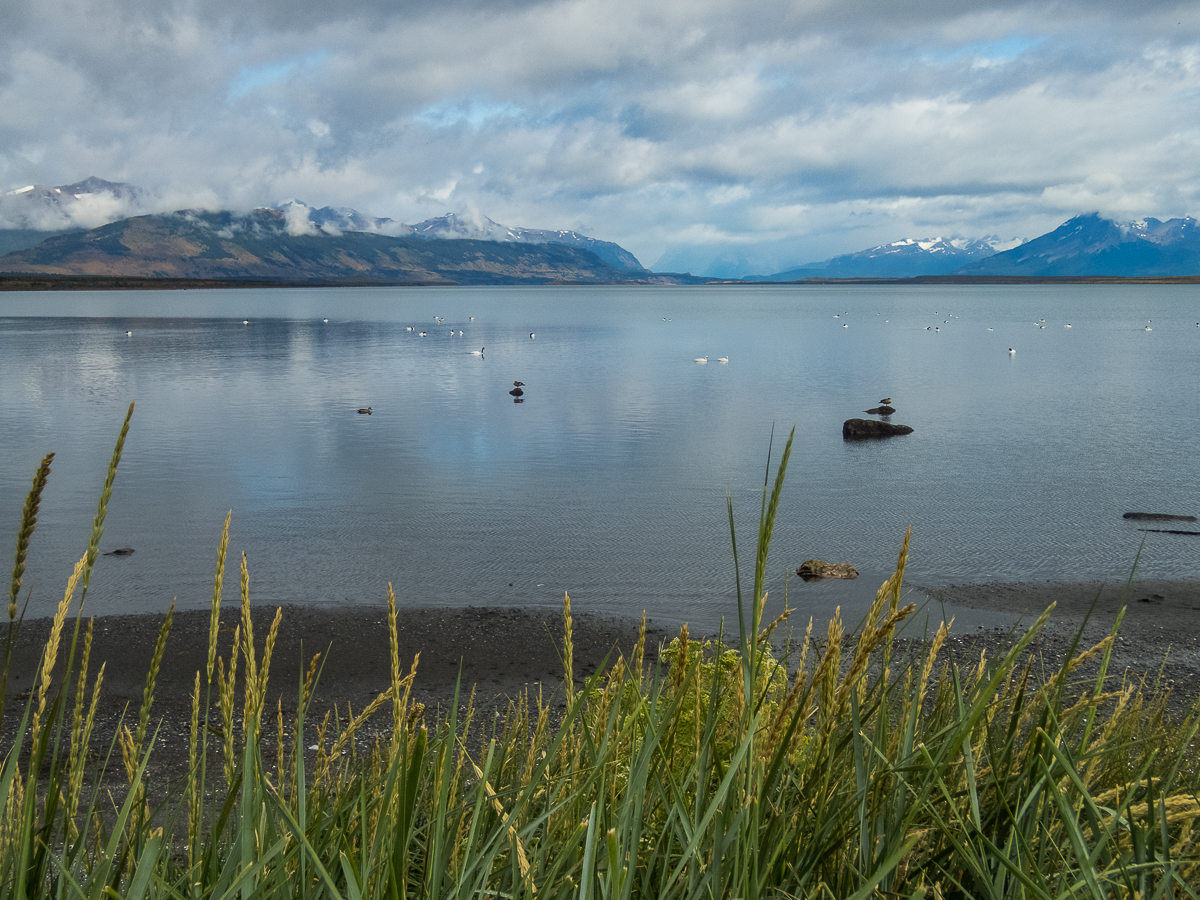 Magellan Marathon 2020 - Punta Arenas - Chile - Tor Rnnow