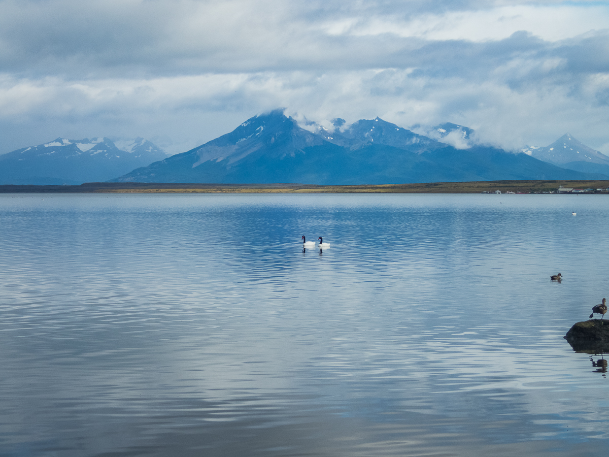 Magellan Marathon 2020 - Punta Arenas - Chile - Tor Rnnow