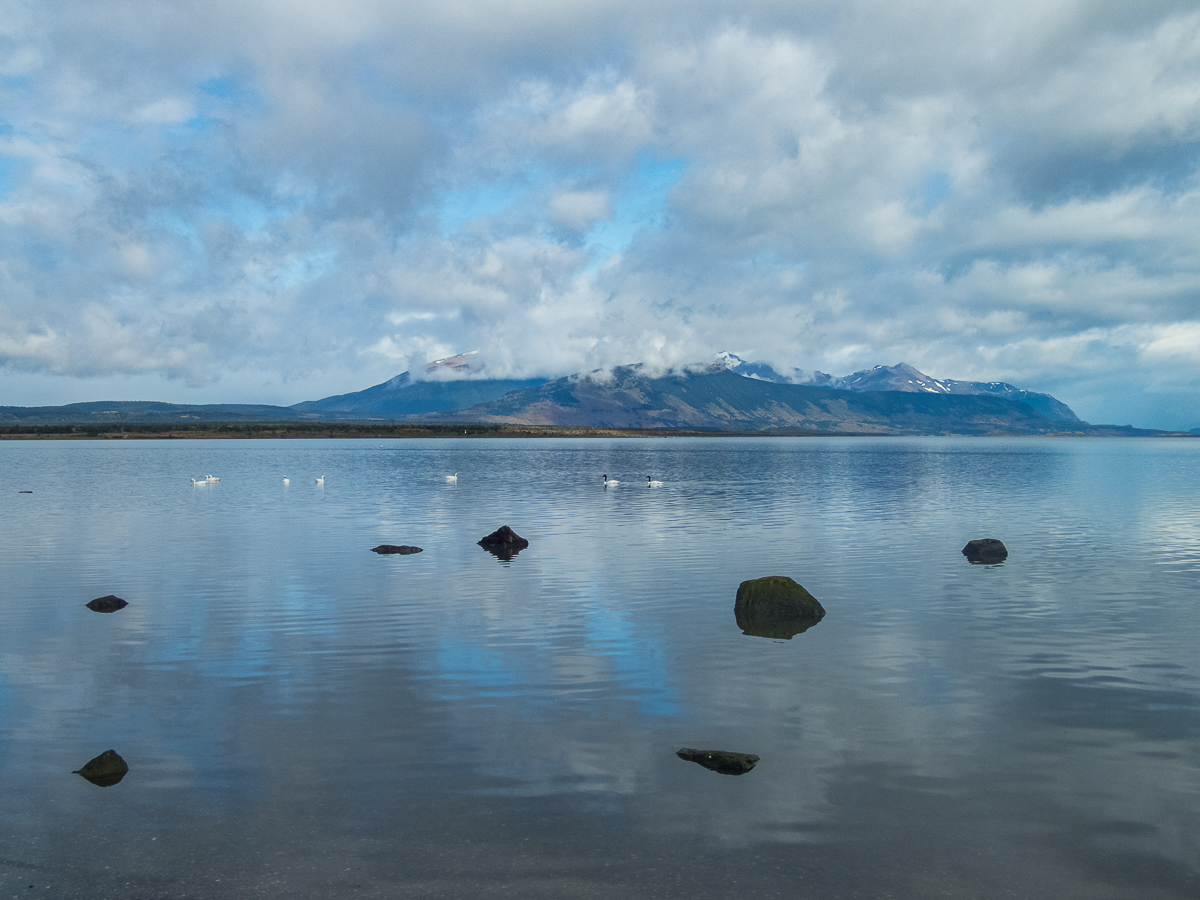 Magellan Marathon 2020 - Punta Arenas - Chile - Tor Rnnow