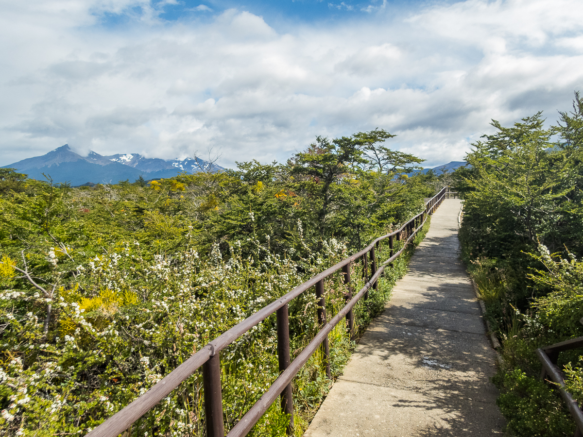 Magellan Marathon 2020 - Punta Arenas - Chile - Tor Rnnow