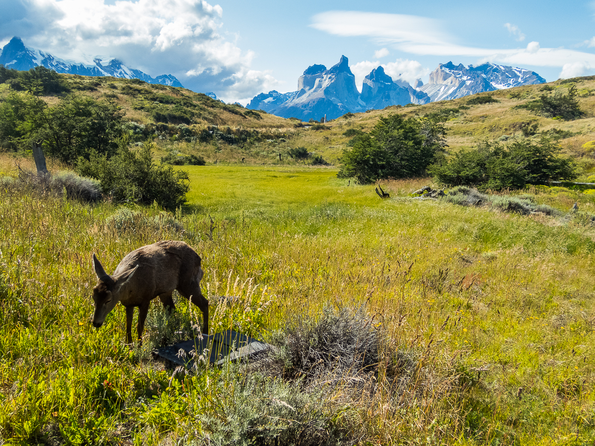 Magellan Marathon 2020 - Punta Arenas - Chile - Tor Rnnow