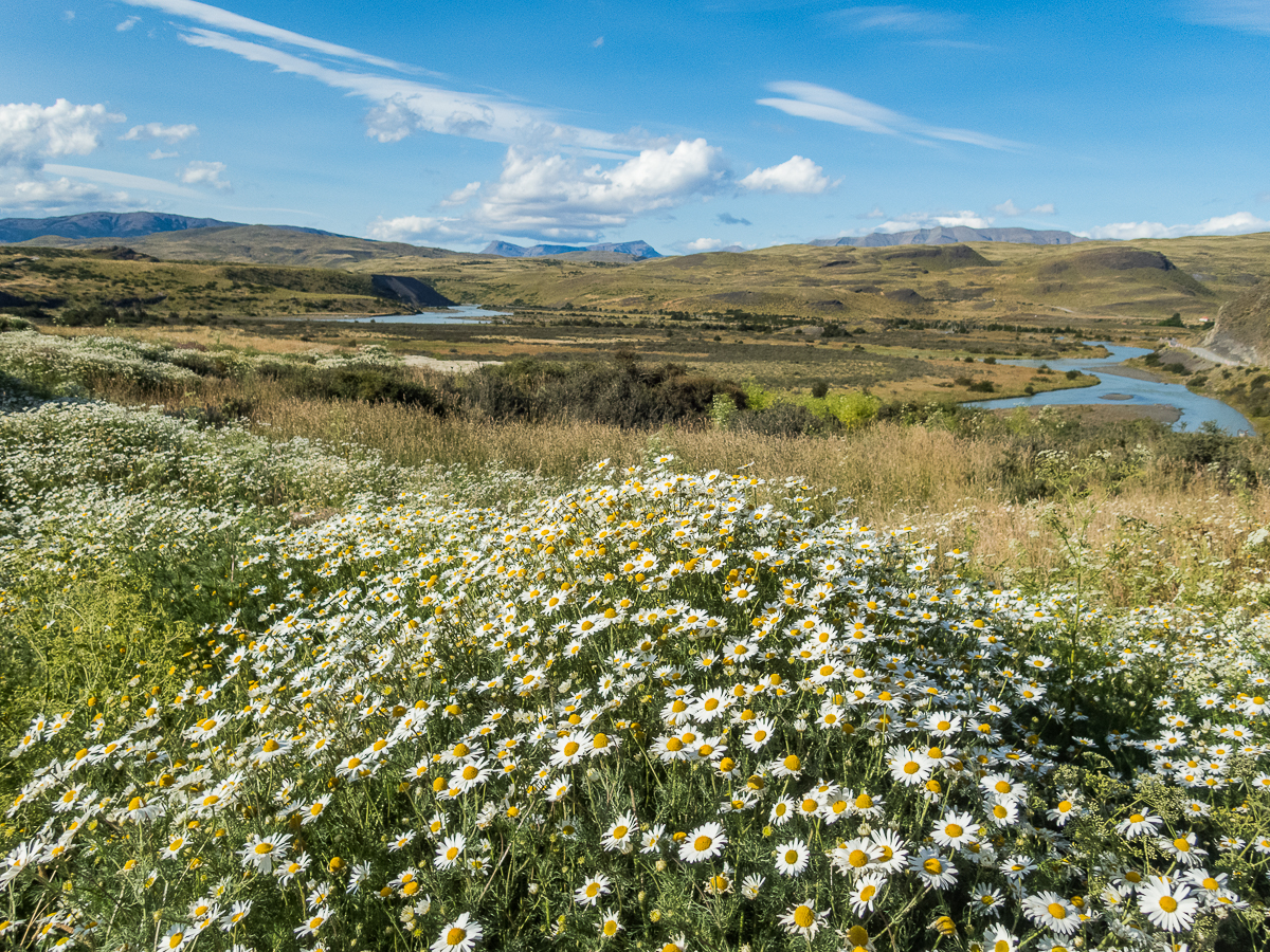 Magellan Marathon 2020 - Punta Arenas - Chile - Tor Rnnow