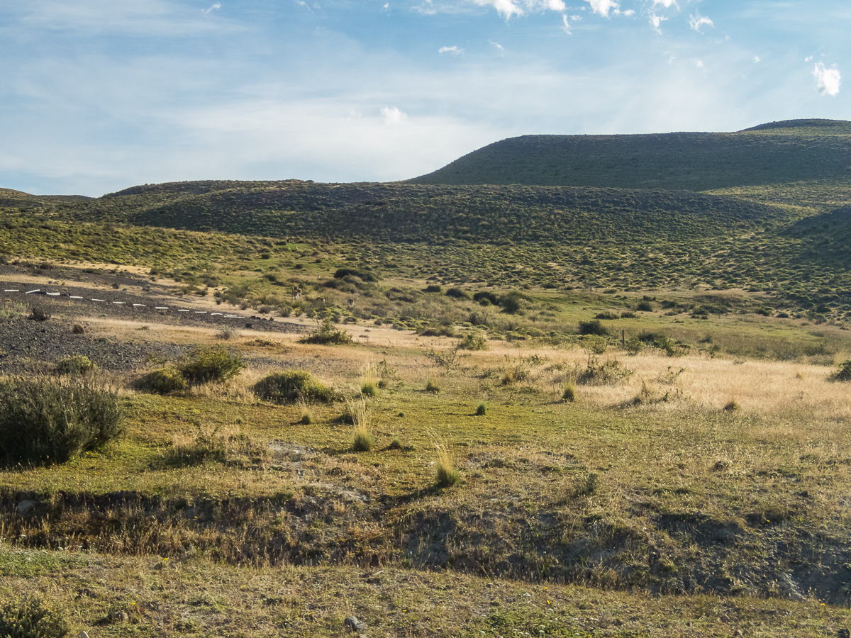 Magellan Marathon 2020 - Punta Arenas - Chile - Tor Rnnow