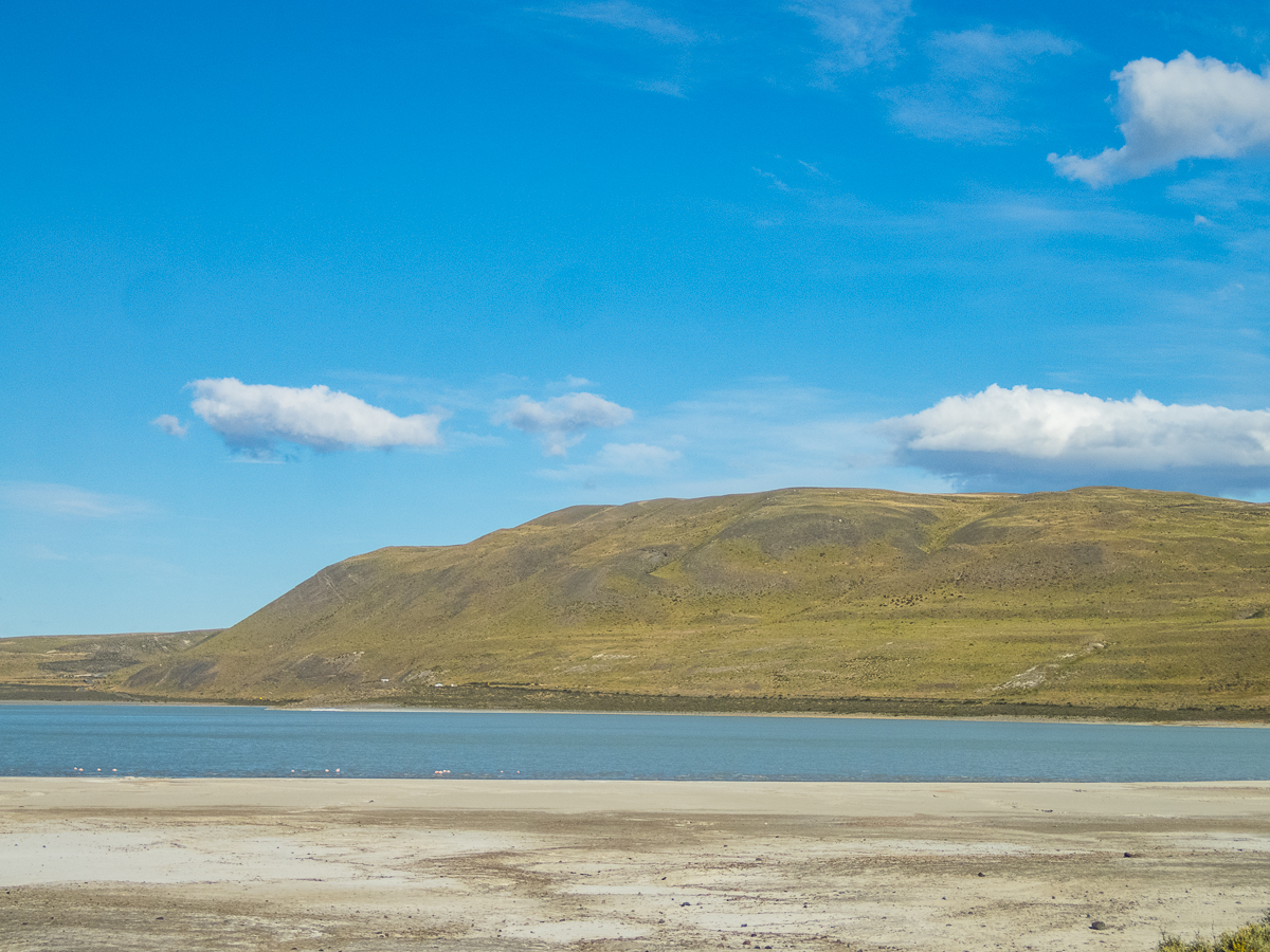 Magellan Marathon 2020 - Punta Arenas - Chile - Tor Rnnow