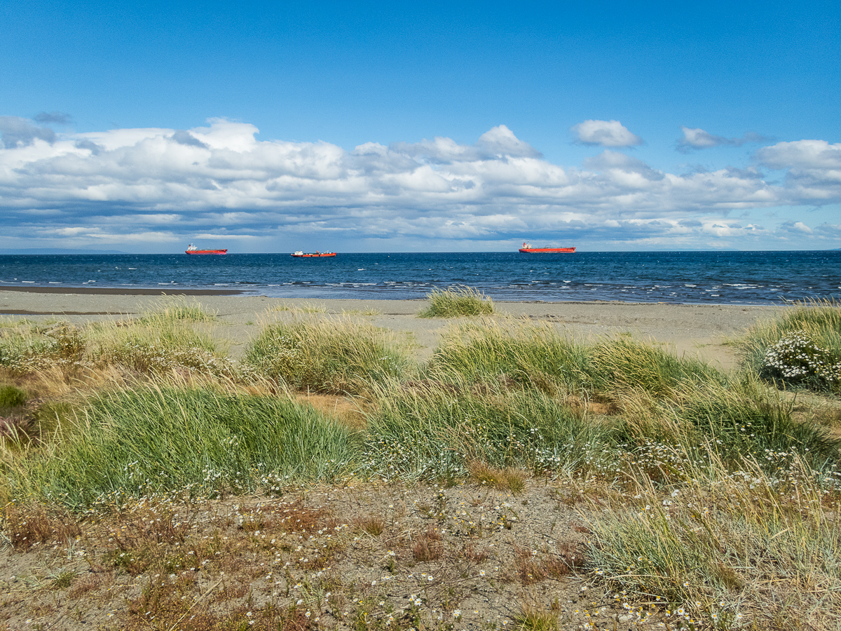 Magellan Marathon 2020 - Punta Arenas - Chile - Tor Rnnow