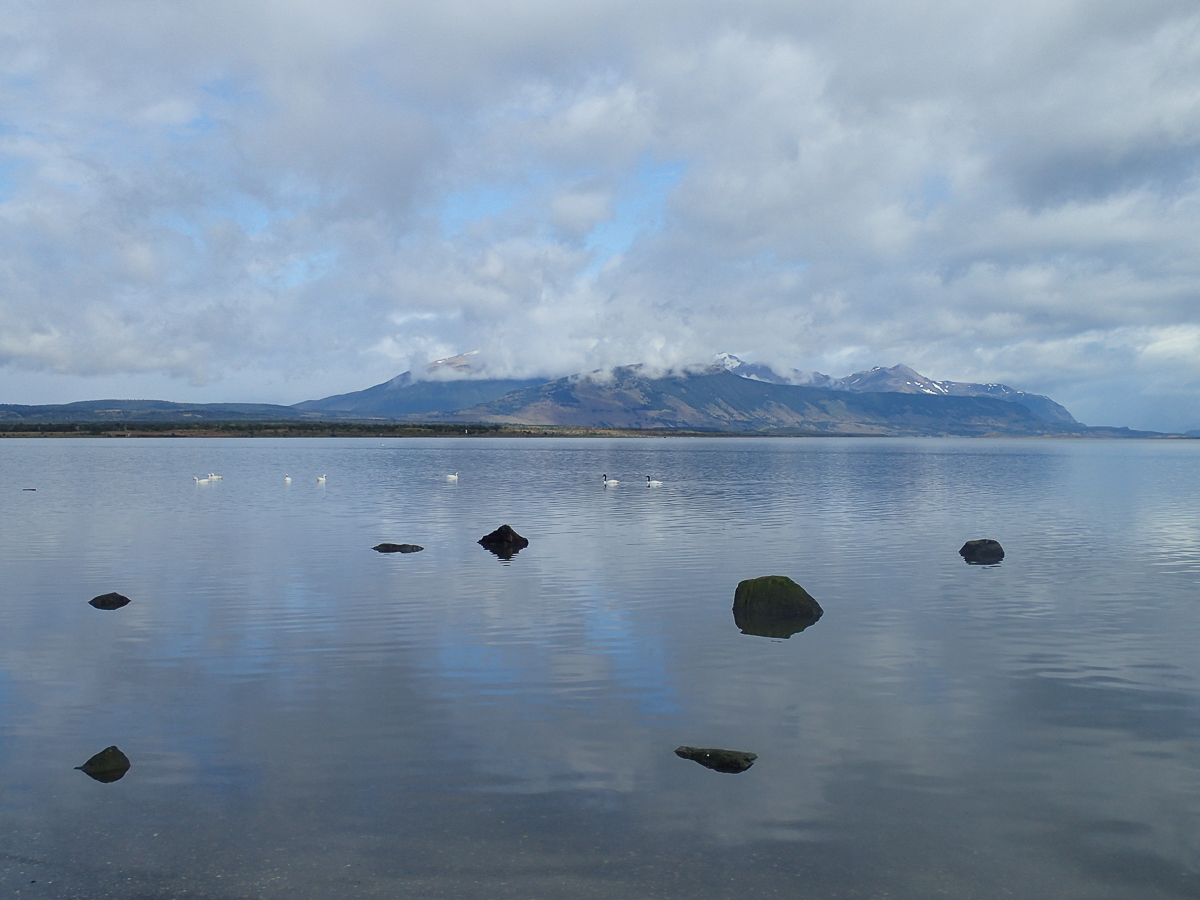 Magellan Marathon 2020 - Punta Arenas - Chile - Tor Rnnow