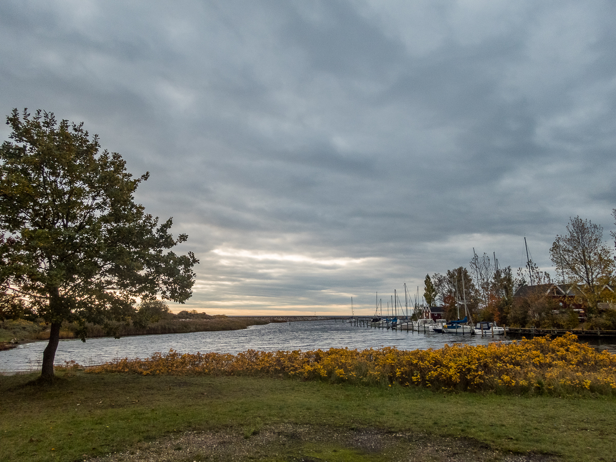 Moffes Maraton - Strandlbet 2020 - Tor Rnnow