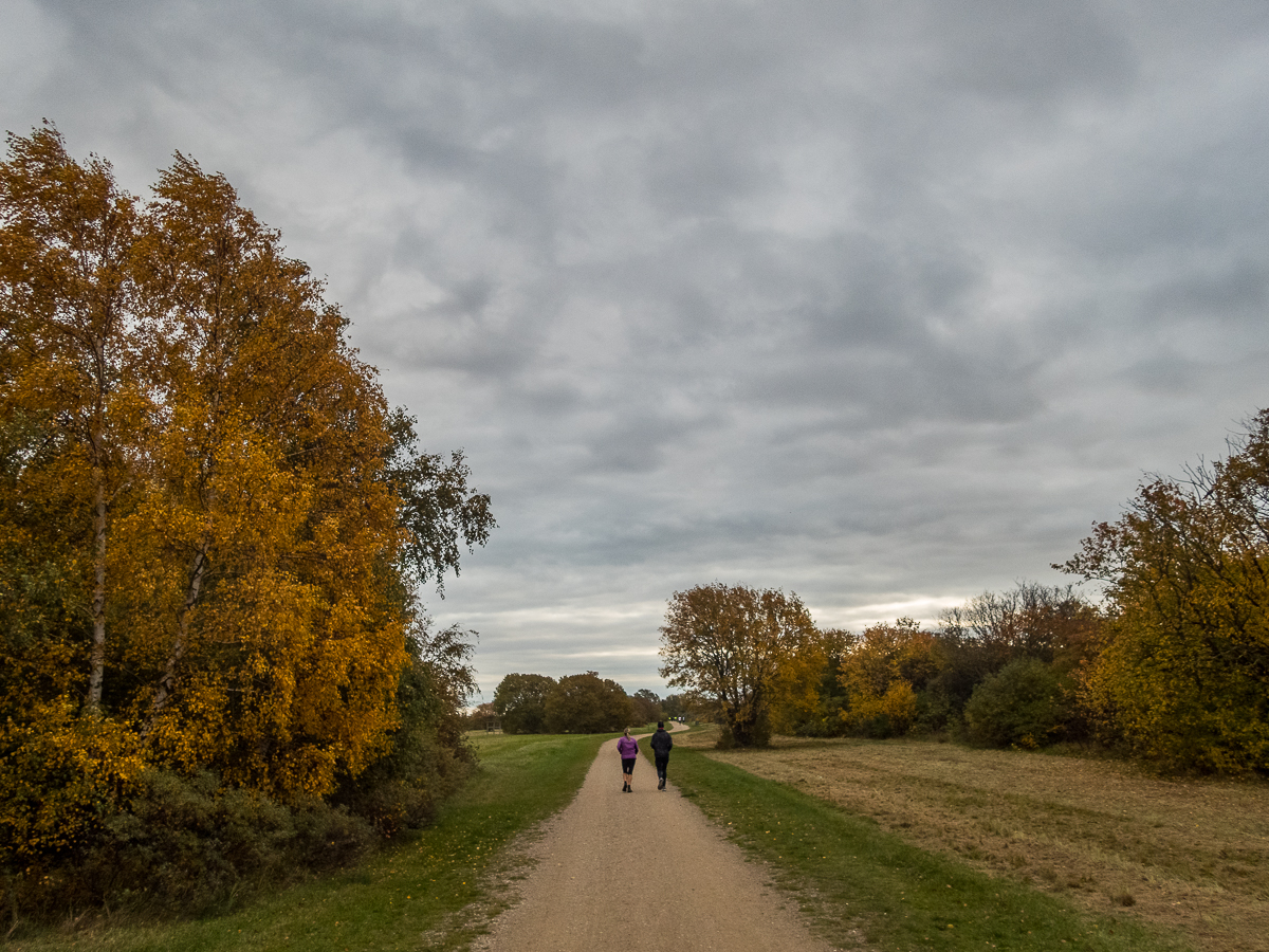 Moffes Maraton - Strandlbet 2020 - Tor Rnnow