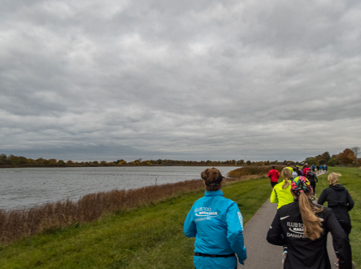 Moffes Maraton - Strandlbet 2020 - Tor Rnnow