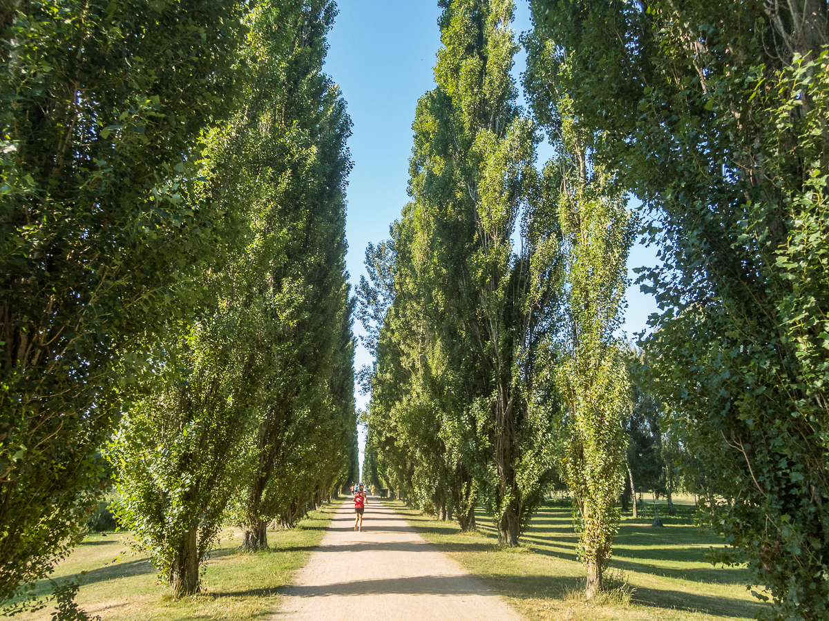 Rikke Steen Olsen Maraton #100 - Marathon PopUp 16 august 2020 - Tor Rnnow