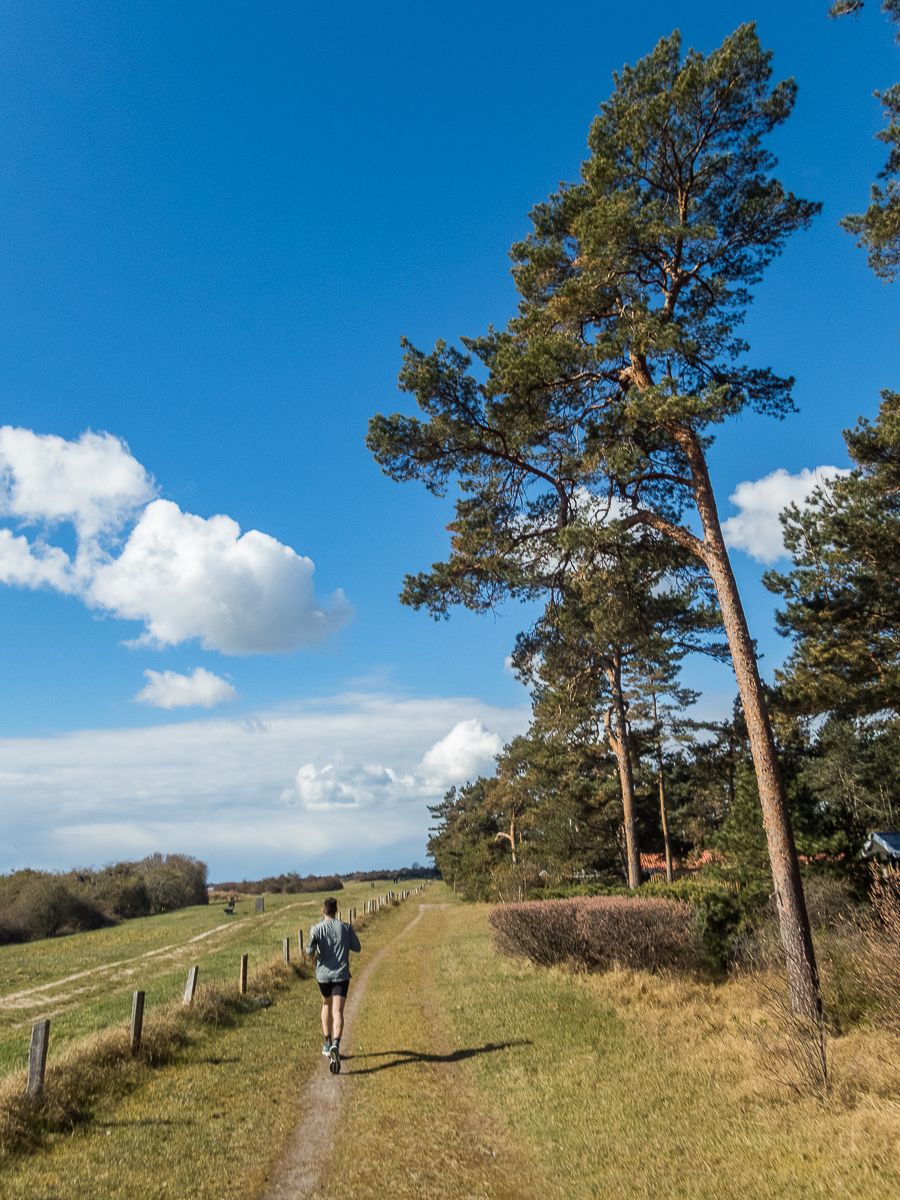 Jungle Run - South Coast Beach Marathon 2021 - Tor Rnnow