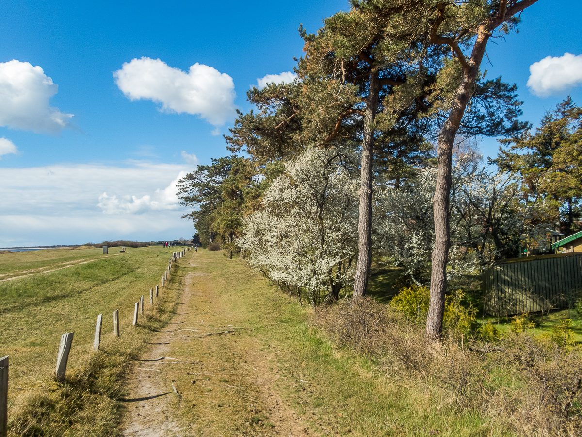 Jungle Run - South Coast Beach Marathon 2021 - Tor Rnnow