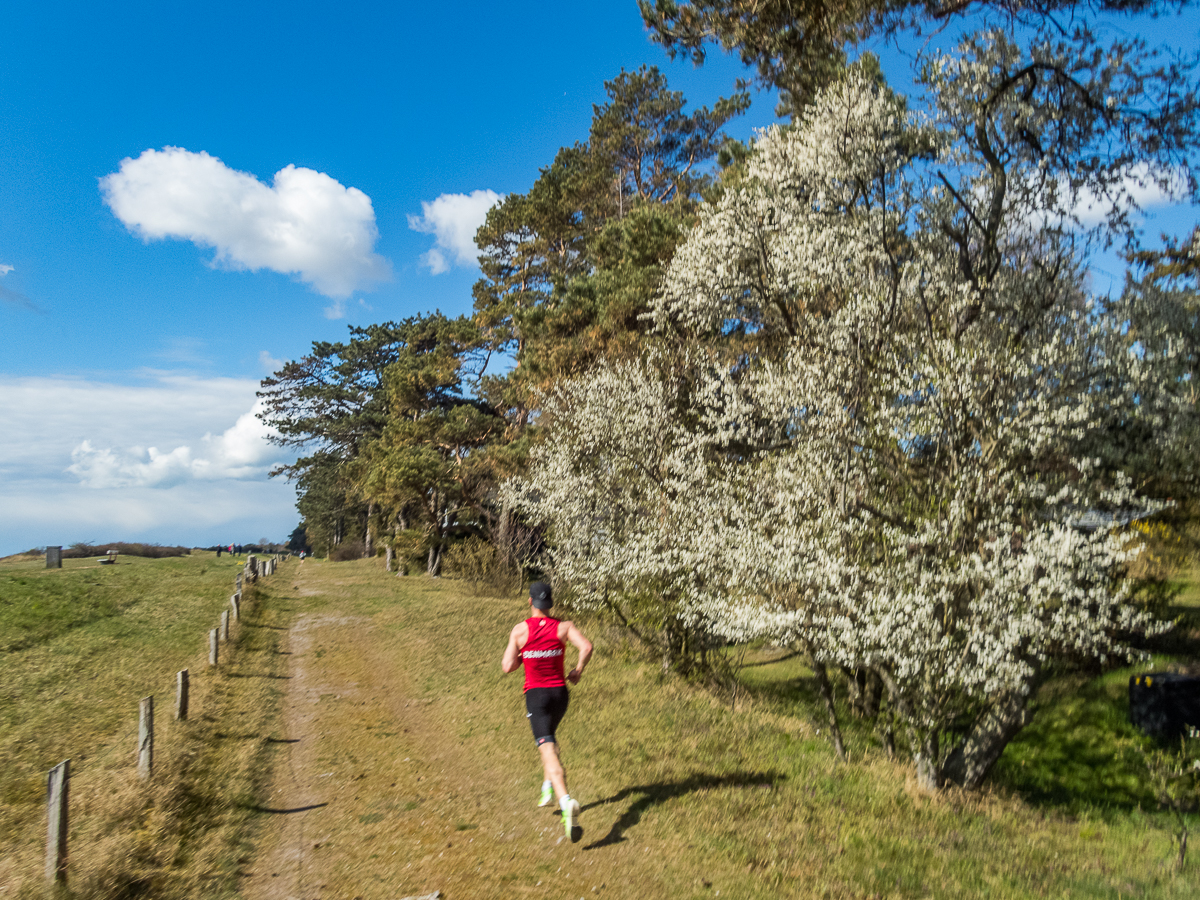 Jungle Run - South Coast Beach Marathon 2021 - Tor Rnnow