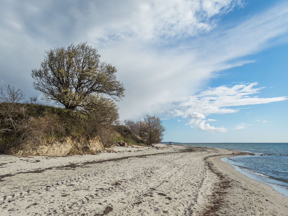 Jungle Run - South Coast Beach Marathon 2021 - Tor Rnnow