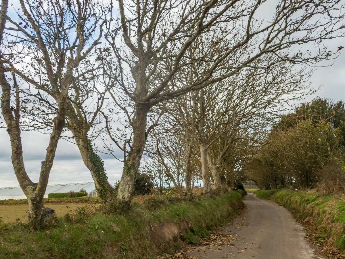 Guernsey Marathon 2021 - Tor Rnnow