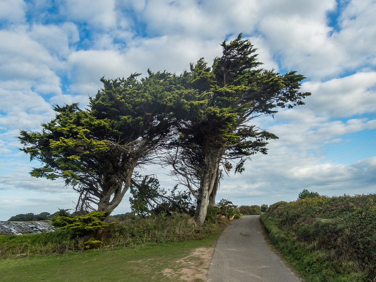 Guernsey Marathon 2021 - Tor Rnnow