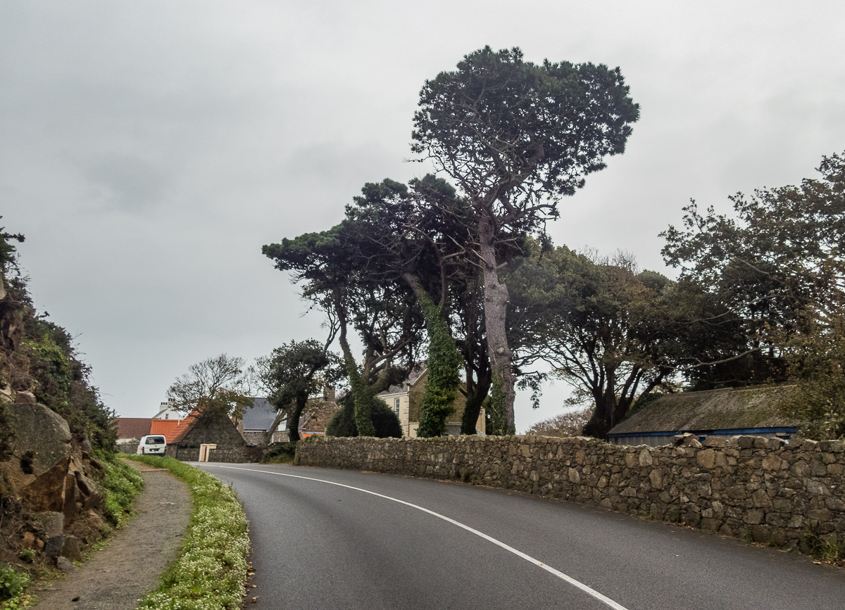 Guernsey Marathon 2021 - Tor Rnnow