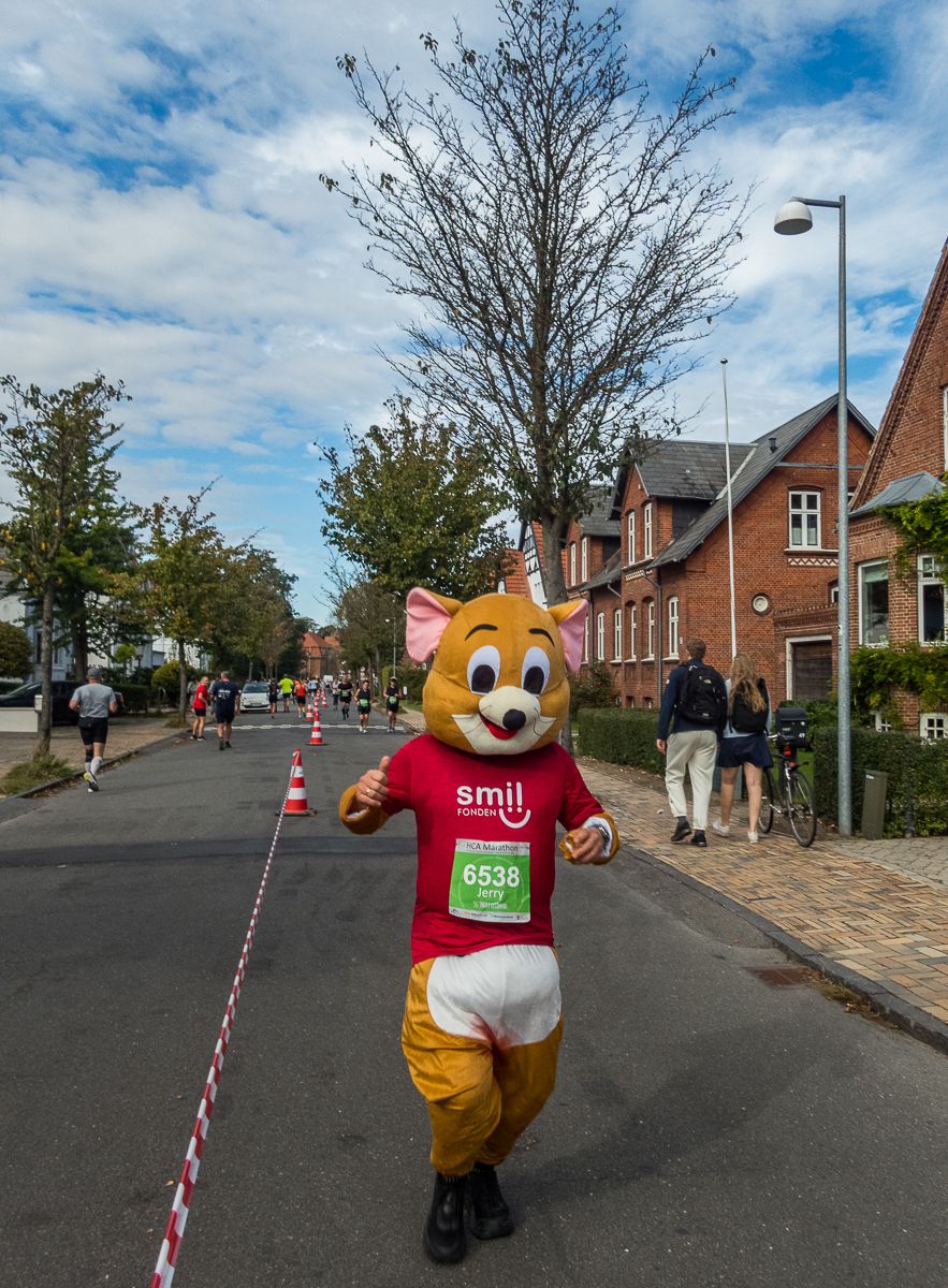 HCA Marathon 2021 (Odense, Denmark) - Tor Rnnow